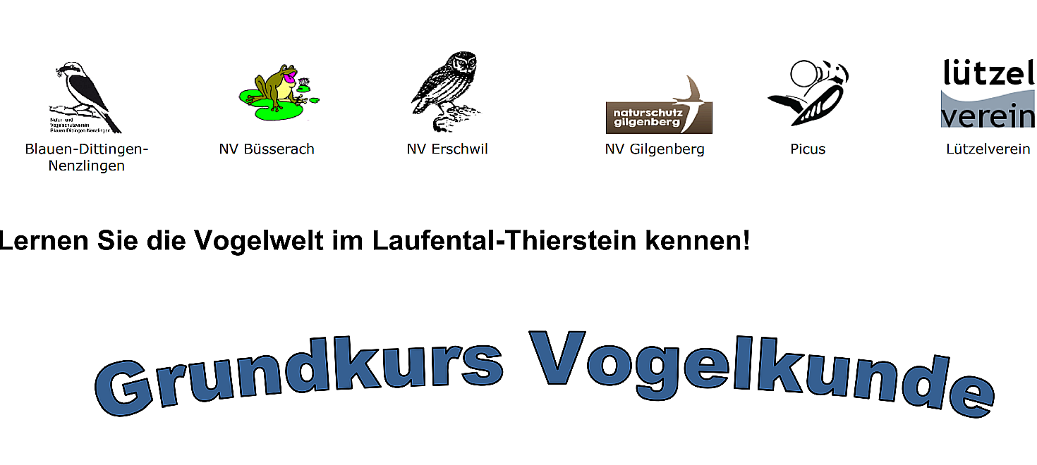 Vogelgrundkurs 2026 - 27